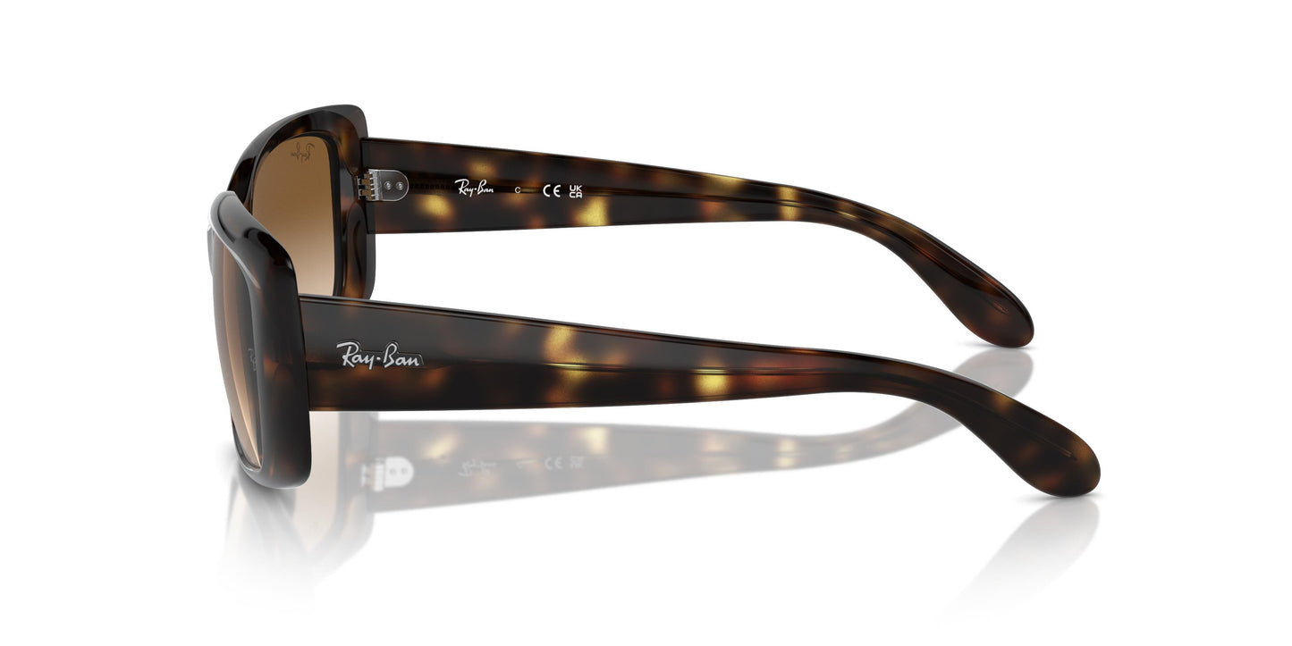Ray-Ban RB4389 710/51 55