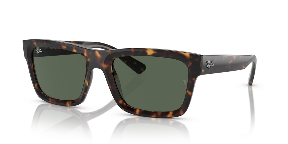 Ray-Ban RB4396 WARREN 135971 54