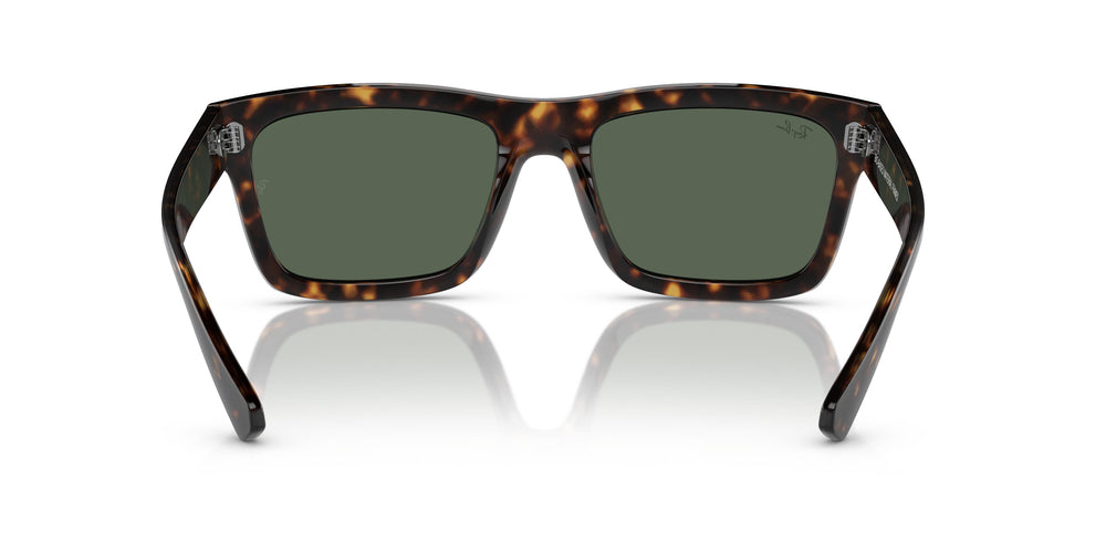 Ray-Ban RB4396 WARREN 135971 54