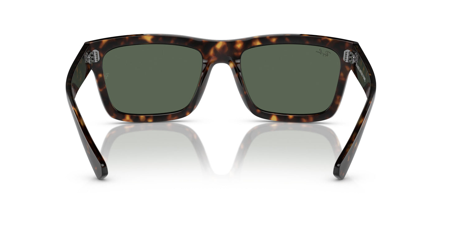 Ray-Ban RB4396 WARREN 135971 54