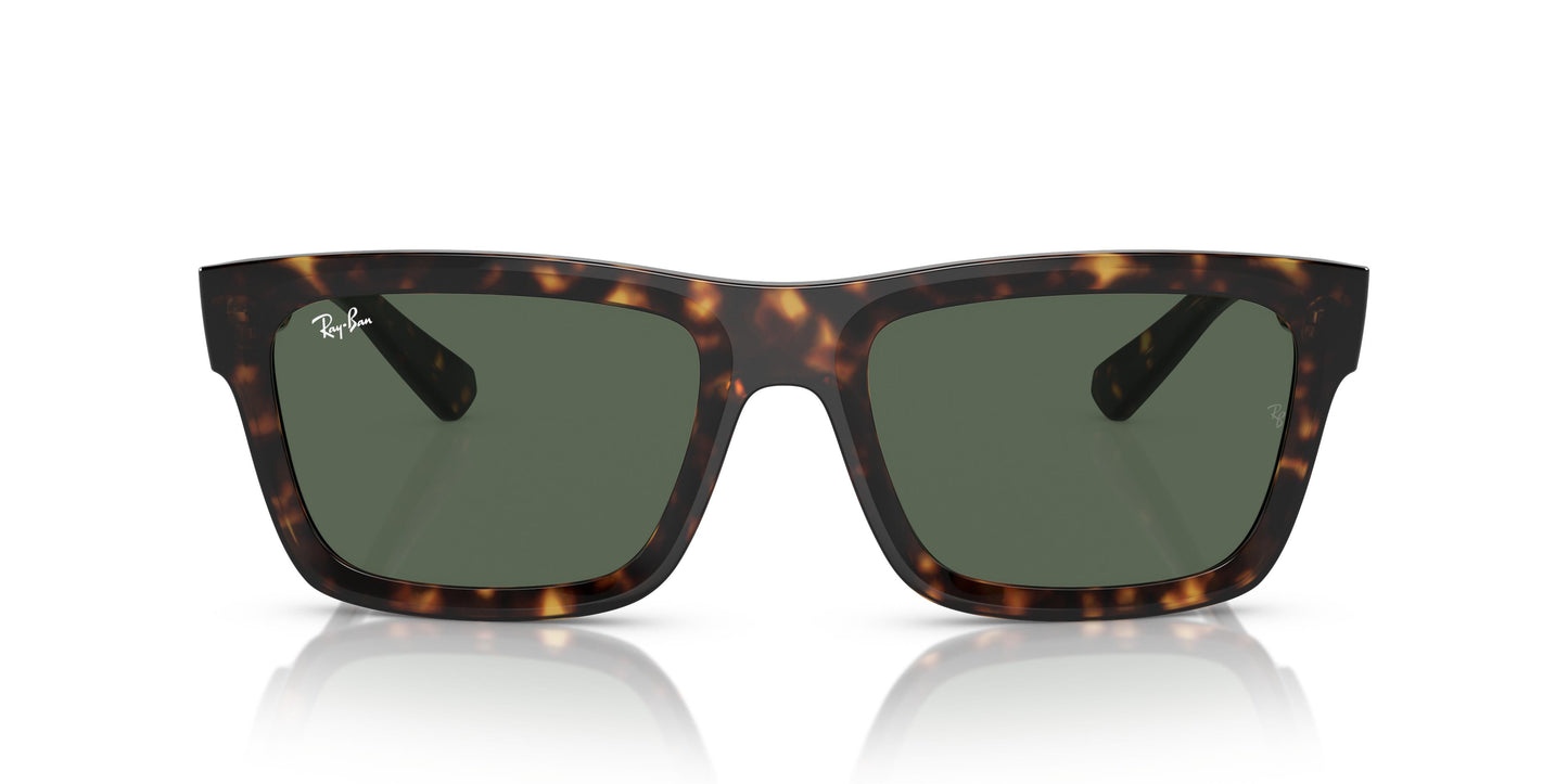 Ray-Ban RB4396 WARREN 135971 54