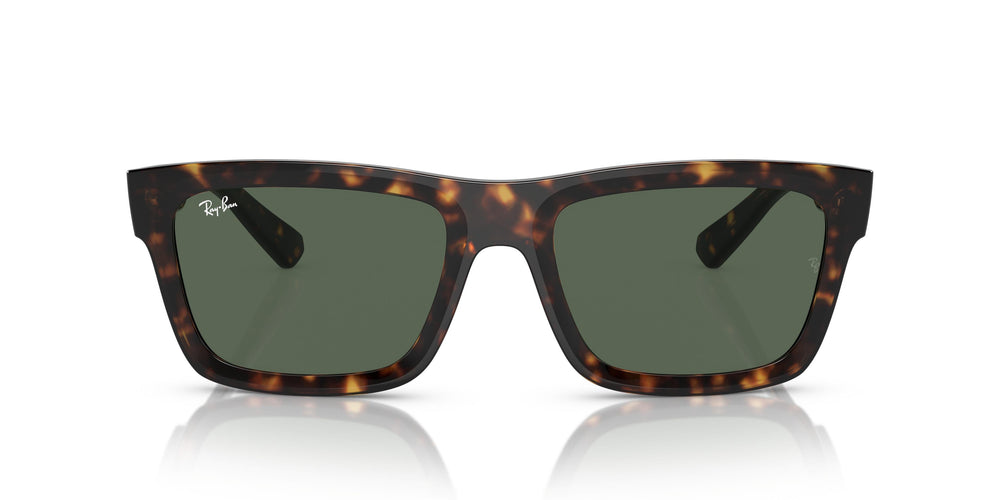 Ray-Ban RB4396 WARREN 135971 57