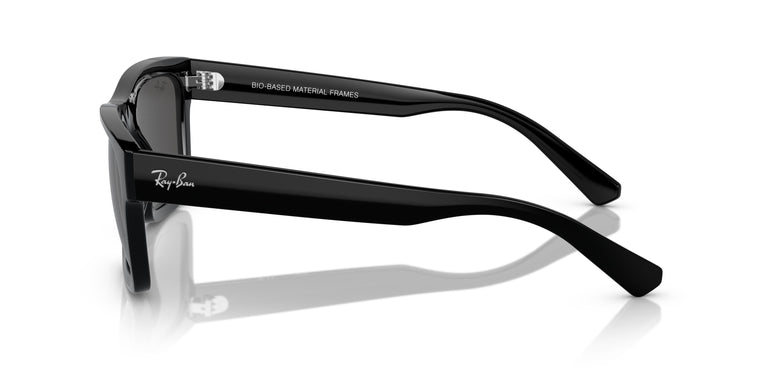 Ray-Ban RB4396 WARREN 667787 54