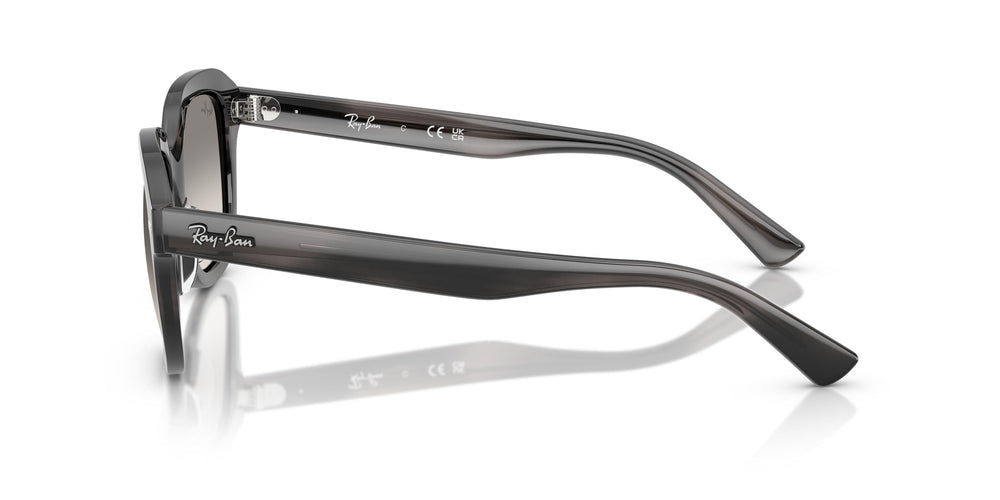 Ray-Ban RB4398 ERIK 140432 53