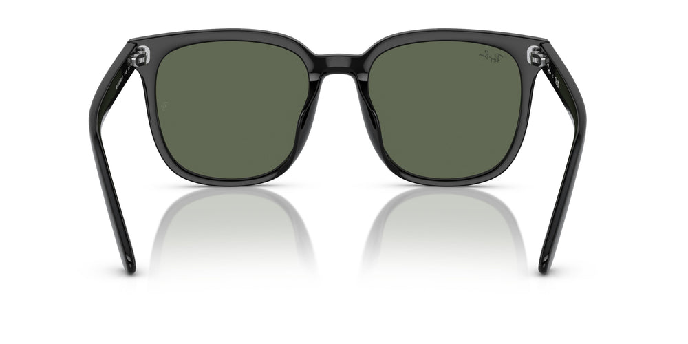 Ray-Ban RB4401D  601/71 55