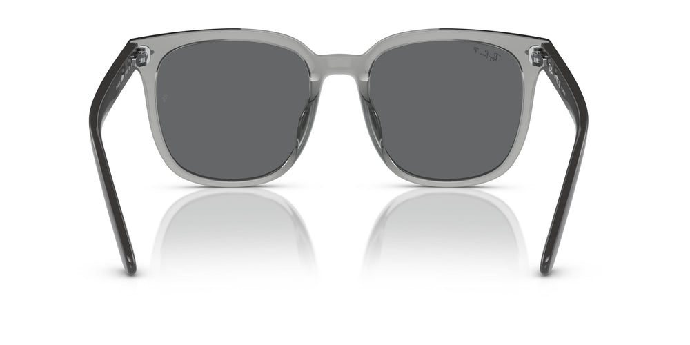 Ray-Ban RB4401D  659981 55