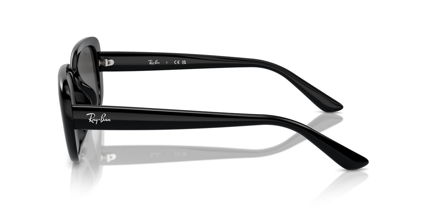 Ray-Ban RB4421D 667787 56