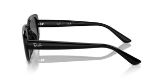 Ray-Ban RB4421D 667787 56