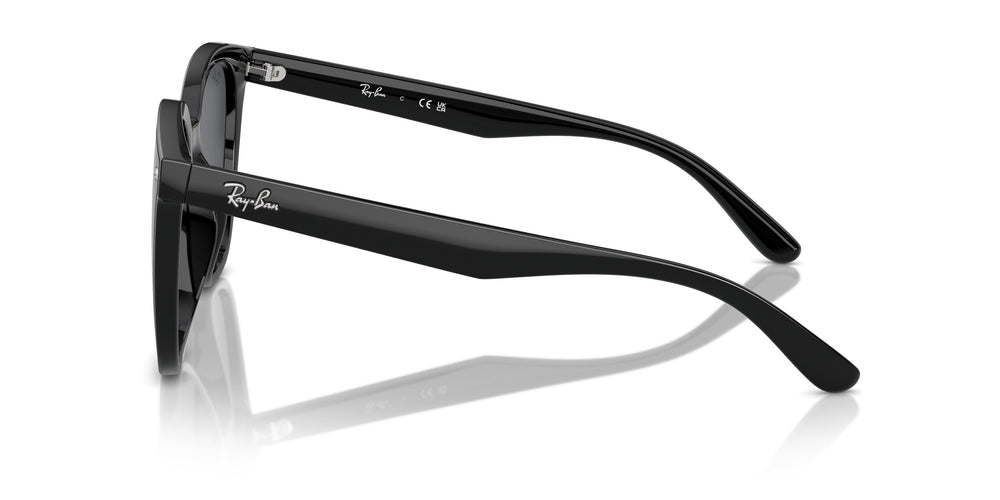 Ray-Ban RB4423D 601/87 66