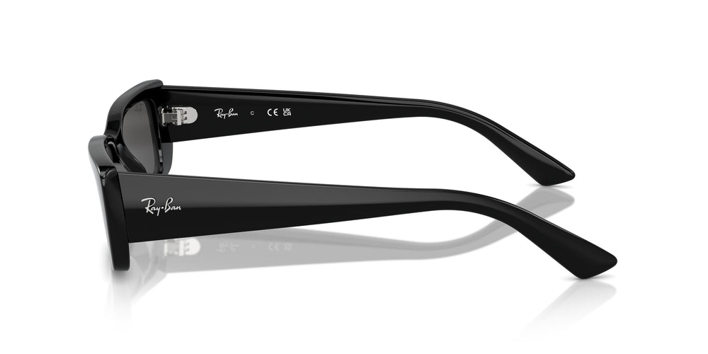 Ray-Ban RB4425 TERU 667787 54