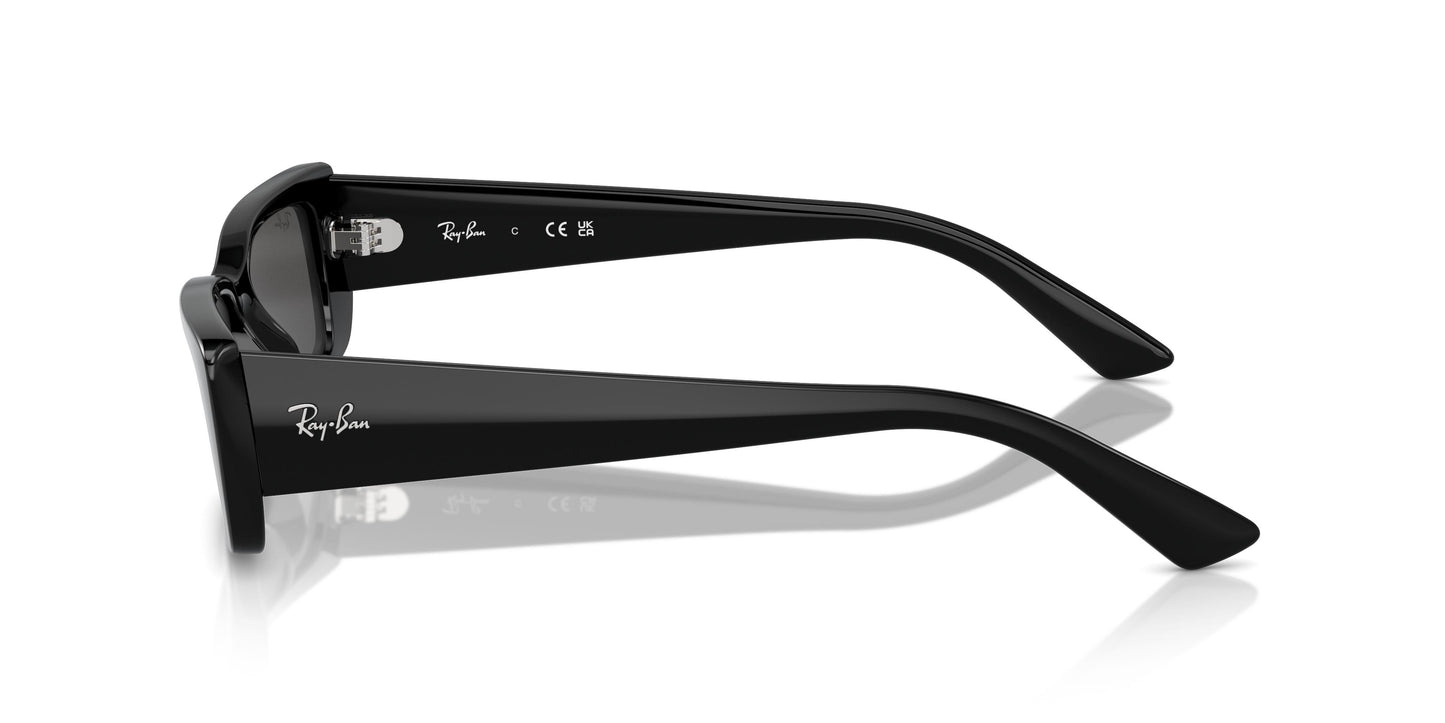 Ray-Ban RB4425 TERU 667787 54