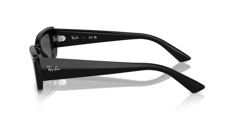 Ray-Ban RB4425 TERU 667787 54