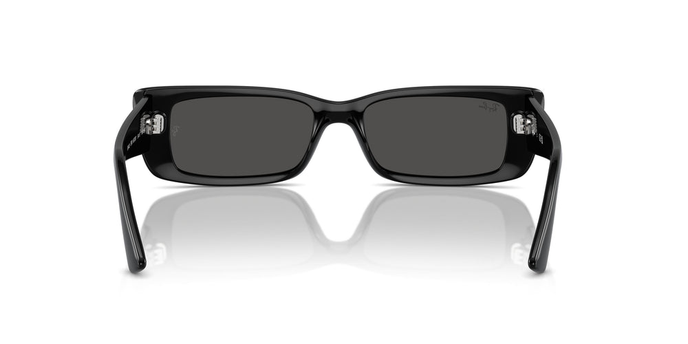 Ray-Ban RB4425 TERU 667787 54