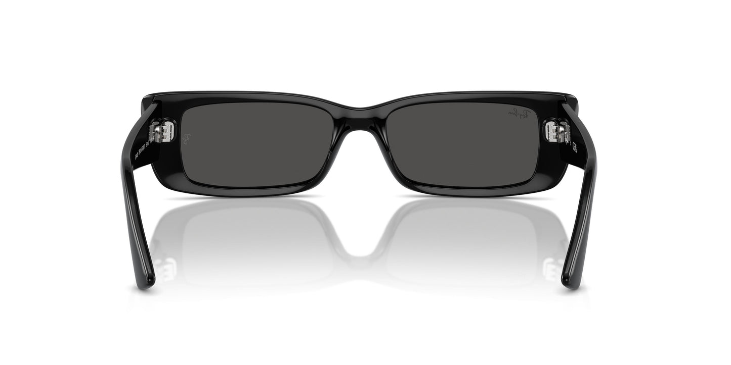 Ray-Ban RB4425 TERU 667787 54