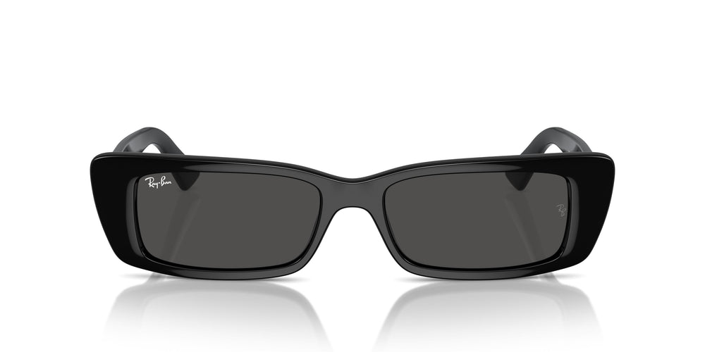 Ray-Ban RB4425 TERU 667787 54