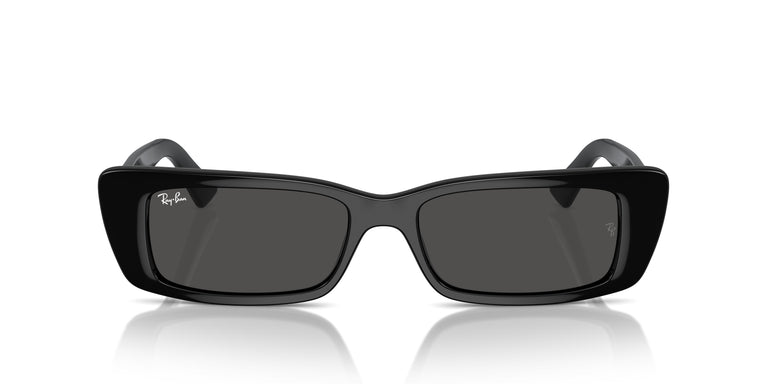 Ray-Ban RB4425 TERU 667787 54