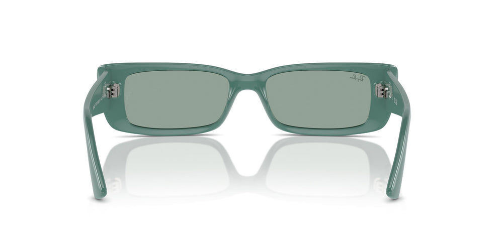 Ray-Ban RB4425 TERU 676282 54