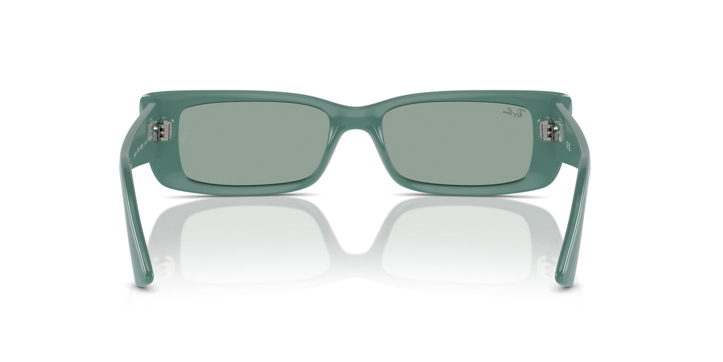Ray-Ban RB4425 TERU 676282 54