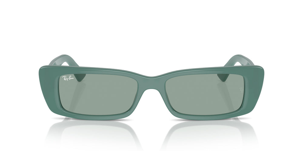 Ray-Ban RB4425 TERU 676282 54