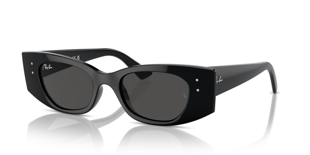 Ray-Ban RB4427 KAT 667787 49