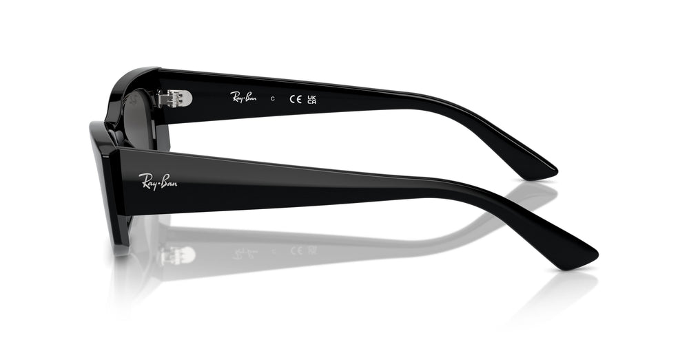 Ray-Ban RB4427 KAT 667787 49