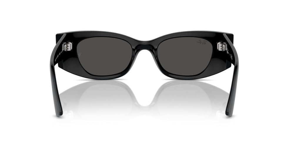 Ray-Ban RB4427 KAT 667787 49