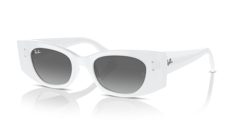 Ray-Ban RB4427 KAT 675911 49
