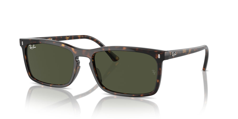 Ray-Ban RB4435 902/31 56