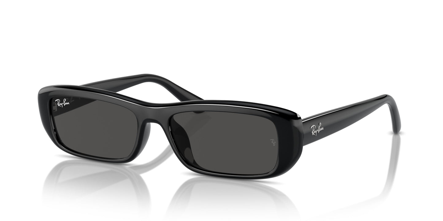 Ray-Ban RB4436D 667787 55