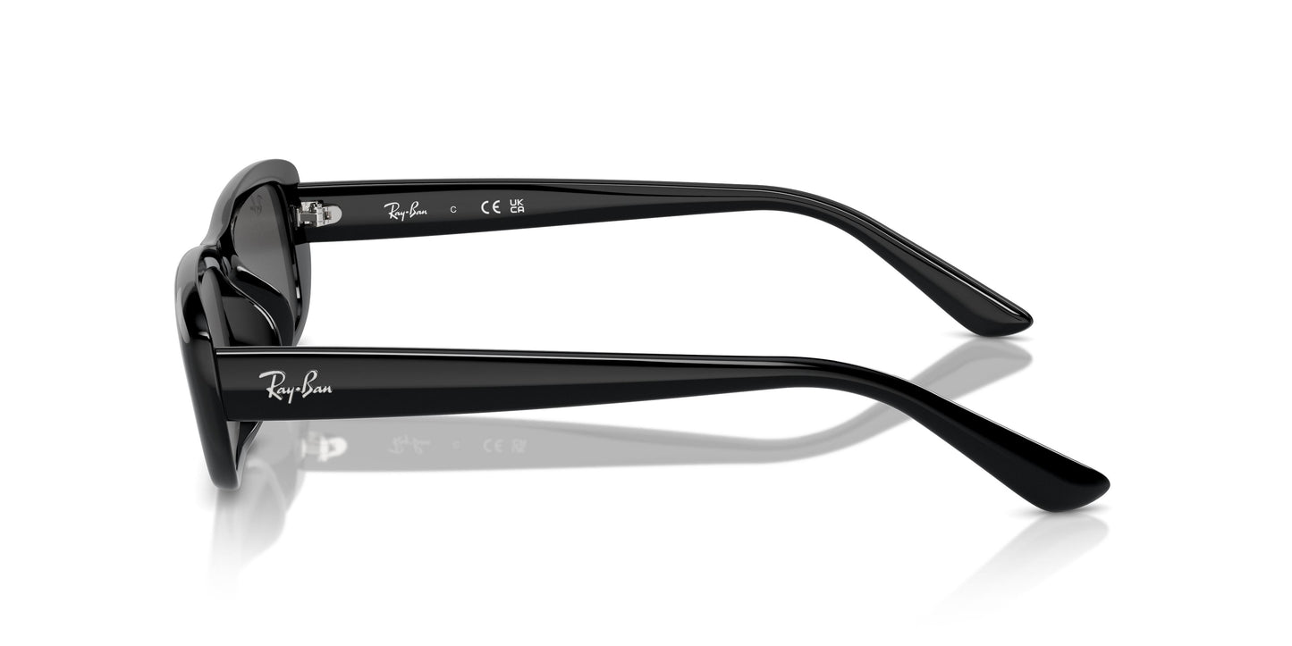 Ray-Ban RB4436D 667787 55