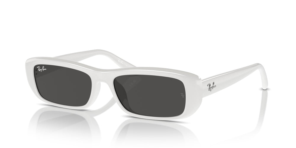 Ray-Ban RB4436D 677287 55