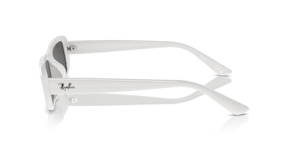 Ray-Ban RB4436D 677287 55