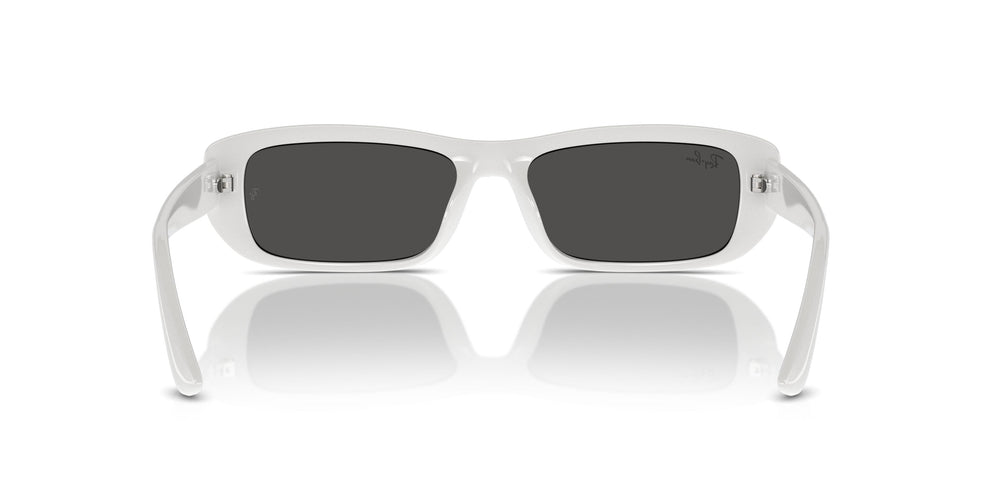Ray-Ban RB4436D 677287 55