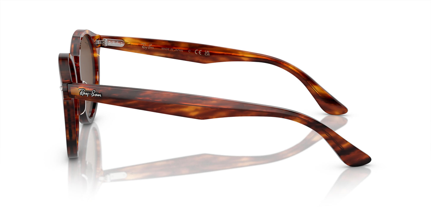 Ray-Ban RB7680S LARRY 954/AN 49
