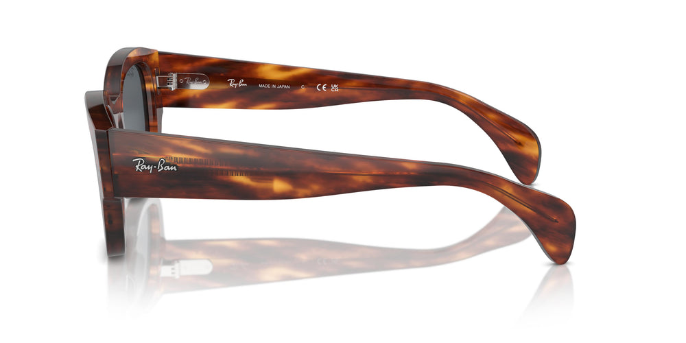 Ray-Ban RB7681S JORGE 954/R5 52