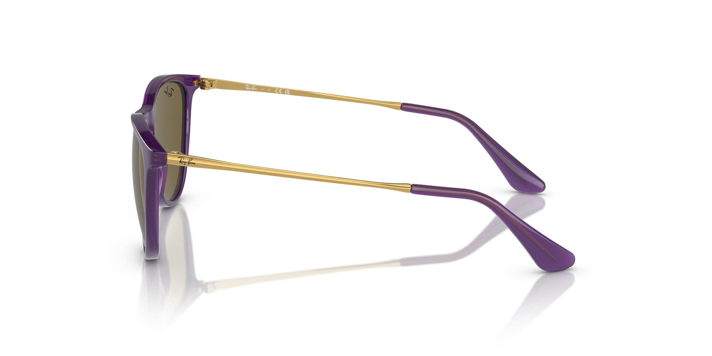 Ray-Ban Junior RJ9060S JUNIOR ERIKA 713173 50