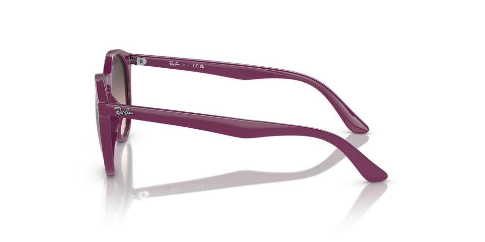 Ray-Ban Junior RJ9064S 716246 44