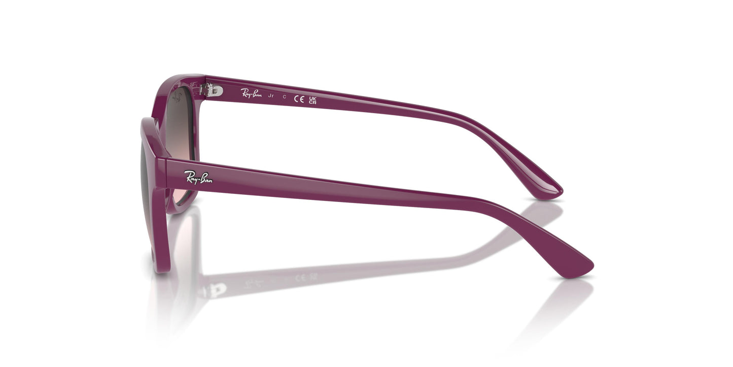 Ray-Ban Junior RJ9071S 716246 48