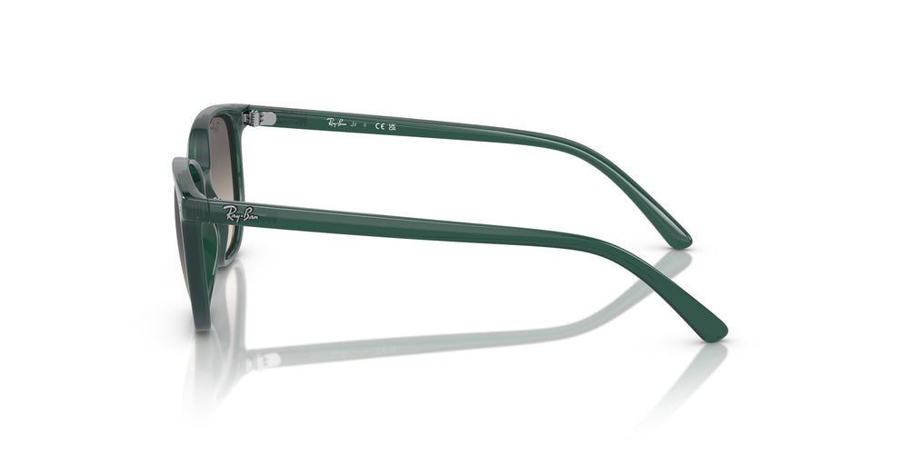 Ray-Ban Kids RJ9097S ELLIOT 713011 46
