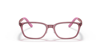 Ray-Ban Junior RY1617D 3777 47