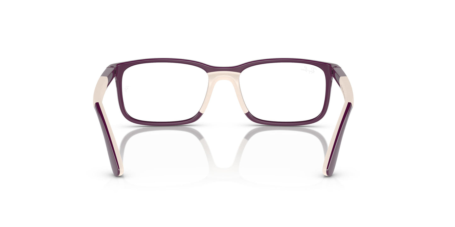 Ray-Ban Junior RY1621 3931 49