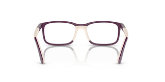 Ray-Ban Junior RY1621 3931 49