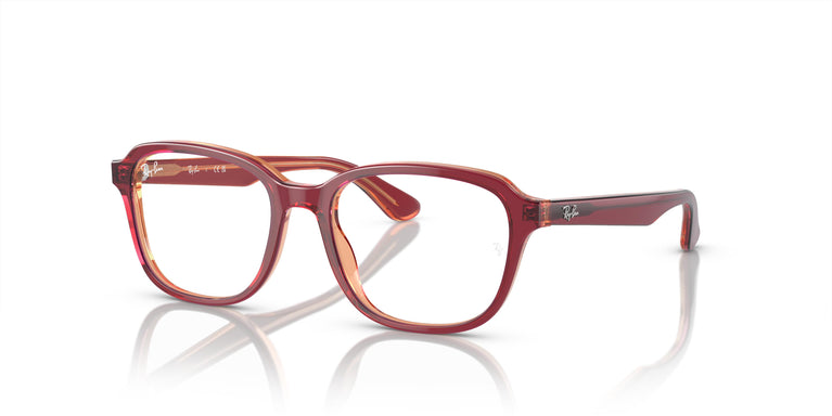 Ray-Ban Junior RY1627 3947 48