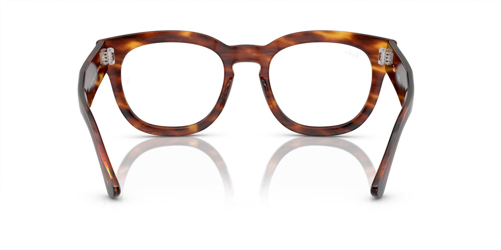 Ray-Ban RX0298V MEGA HAWKEYE 2144 48