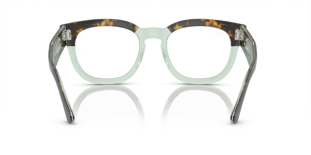 Ray-Ban RX0298V MEGA HAWKEYE 8249 48