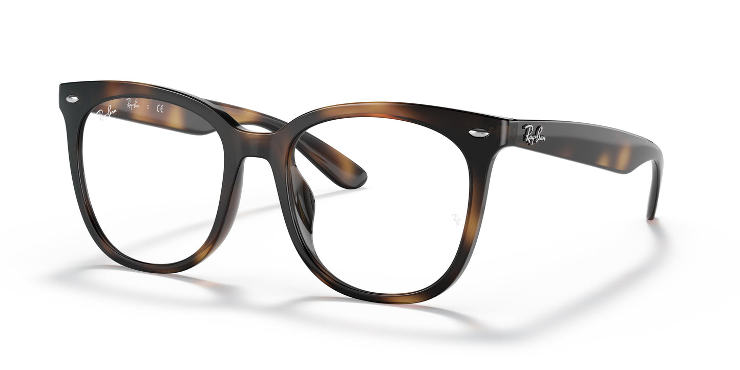 Ray-Ban RX4379VD 2012 53