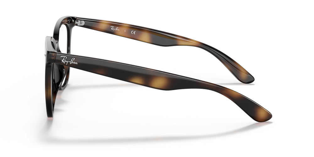 Ray-Ban RX4379VD 2012 53