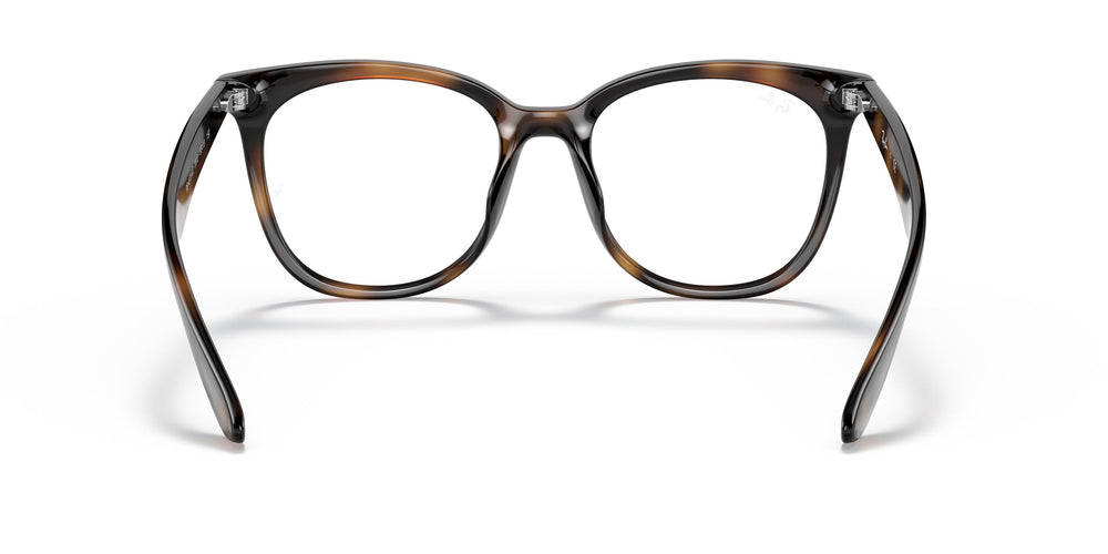 Ray-Ban RX4379VD 2012 53