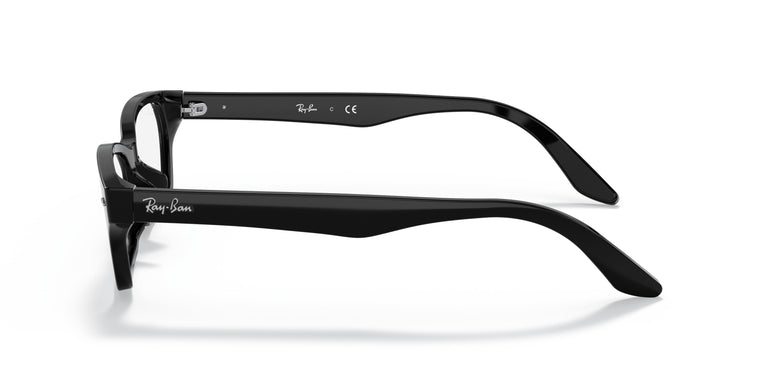Ray-Ban RX5344D 2000 55