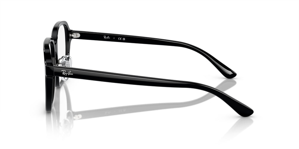Ray-Ban RX5424D 2000 54